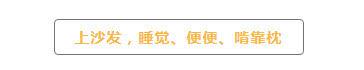 不想把狗关笼子, 又怕上班狗子捣乱, 这样解决!