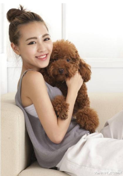 经常惩罚泰迪犬, 造成的5个“后果”很严重, 咬你只是其中之一!