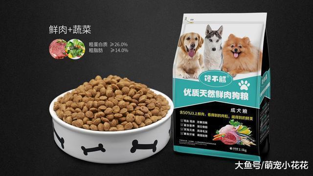 狗狗肠胃炎怎么办?