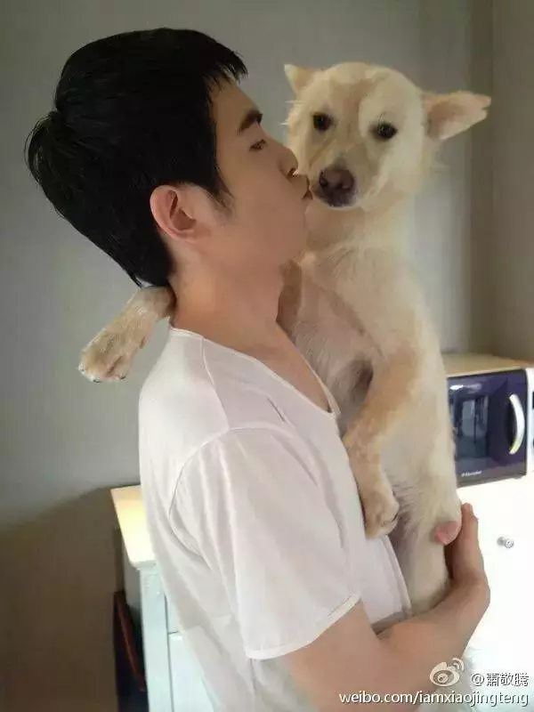 萧敬腾: 让领养代替买卖, 一点儿也不丢脸!