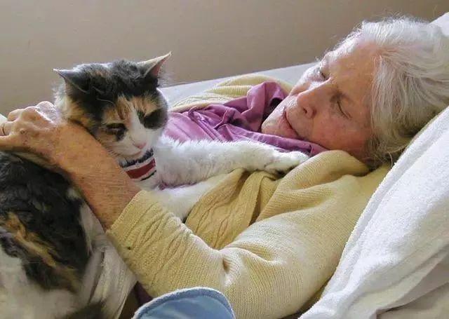 9个人与动物最感人的瞬间, 你能忍到第几个不哭?