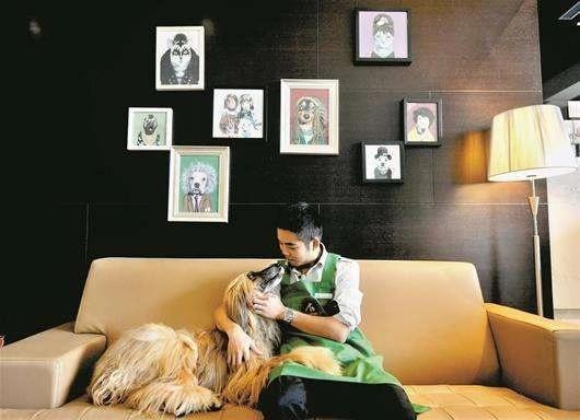 随时视频监控你的宠物, 这种家庭式宠物寄养你愿意吗?