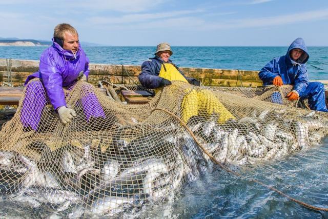 中国用人民币结算中东石油首单后, 中国买家停购美国石油和天然气