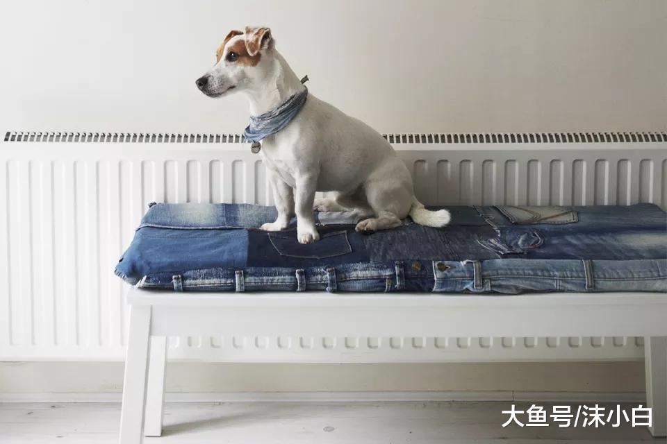 旧牛仔裤不要扔! 看邻居“抢”回家几剪刀成这10样, 立省一笔钱!