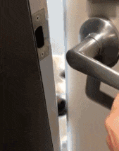 睡着后, 我家狗子竟然会偷偷