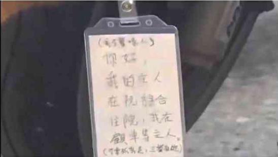 一个不起眼的黄狗在医院停车处静卧, 一周过去, 它终于感动了大家