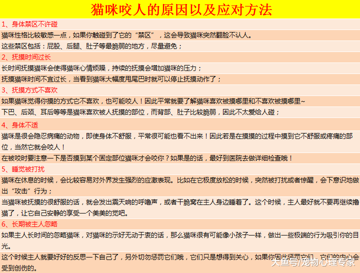 为什么抚摸猫咪时它会翻脸咬人? 忽略猫咪的身体语言被咬在所难免