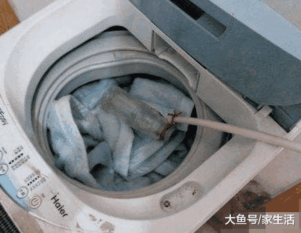 头次见在洗衣机里扔瓶子洗衣服, 太聪明了, 省事又干净