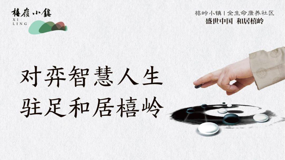 棋下黑白 手谈人生