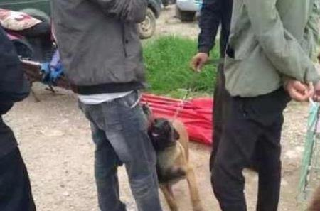 主人为养博美卖掉土狗, 土狗却抱住主人, 买狗人看到这一幕落泪