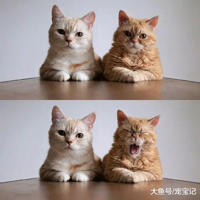 在一起有摩擦也会吵架, 但是凑合过呗, 还能离咋滴?