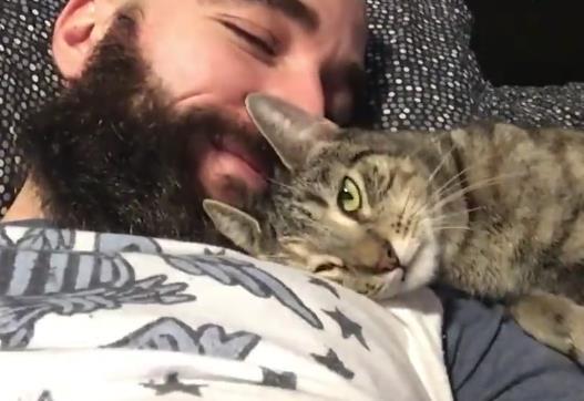 主人很喜欢撸猫, 但是每次碰到主人的胡子, 猫咪都有意见: 太浓密