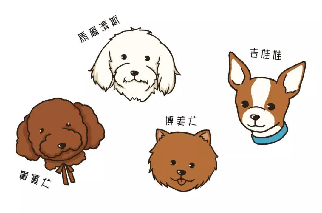 大部分确诊心脏病的狗狗, 都是因为主人们误以为它们感冒了