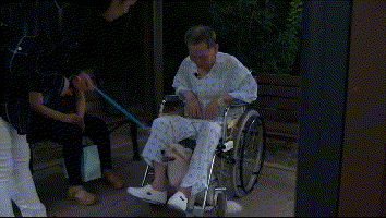 老人晕倒被送院剩忠犬露宿家门, 痴呆的他忘了一切却忘不了这记忆