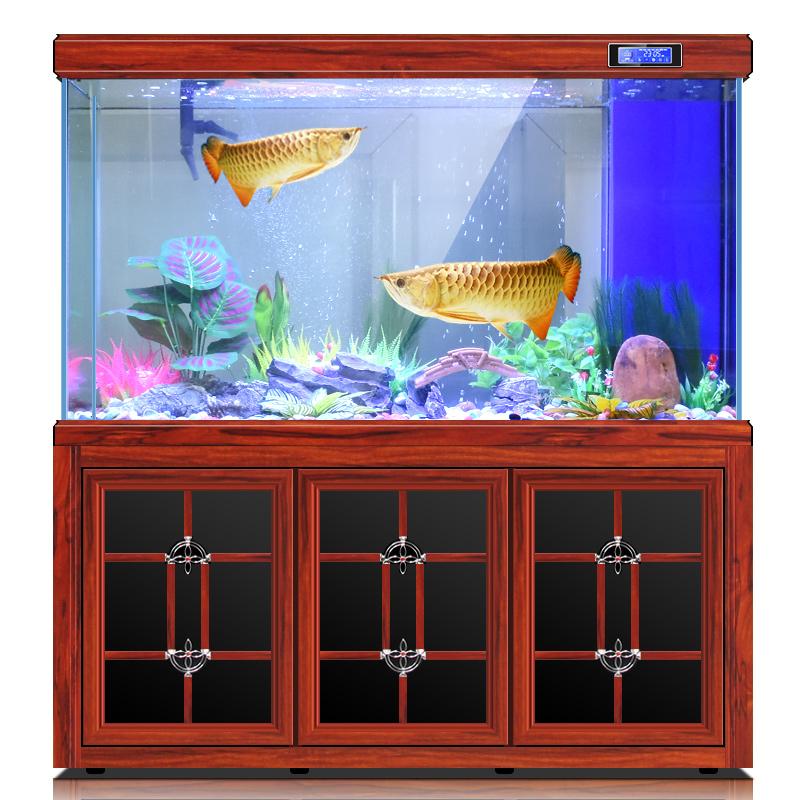 养鱼也有讲究? 风水师导出其中的奥秘、鱼缸选对了能顺风顺水