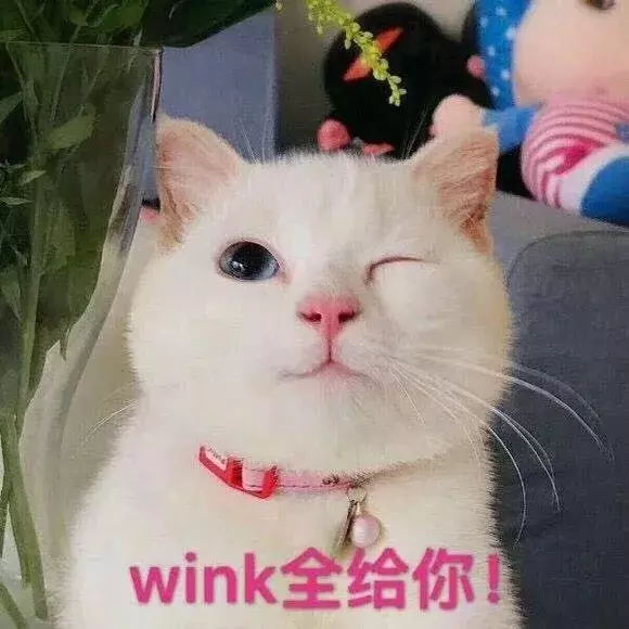 朋友圈最暖心的偷拍! 看完整个人都被治愈了·····