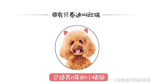 200年传统! 墨西哥市长必须「和母鳄鱼公主结婚」, 网友: 「怎麽洞房? 」