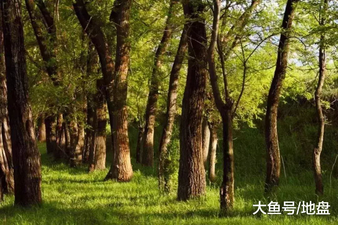 是时候祭奠一下开发商的鼻祖了