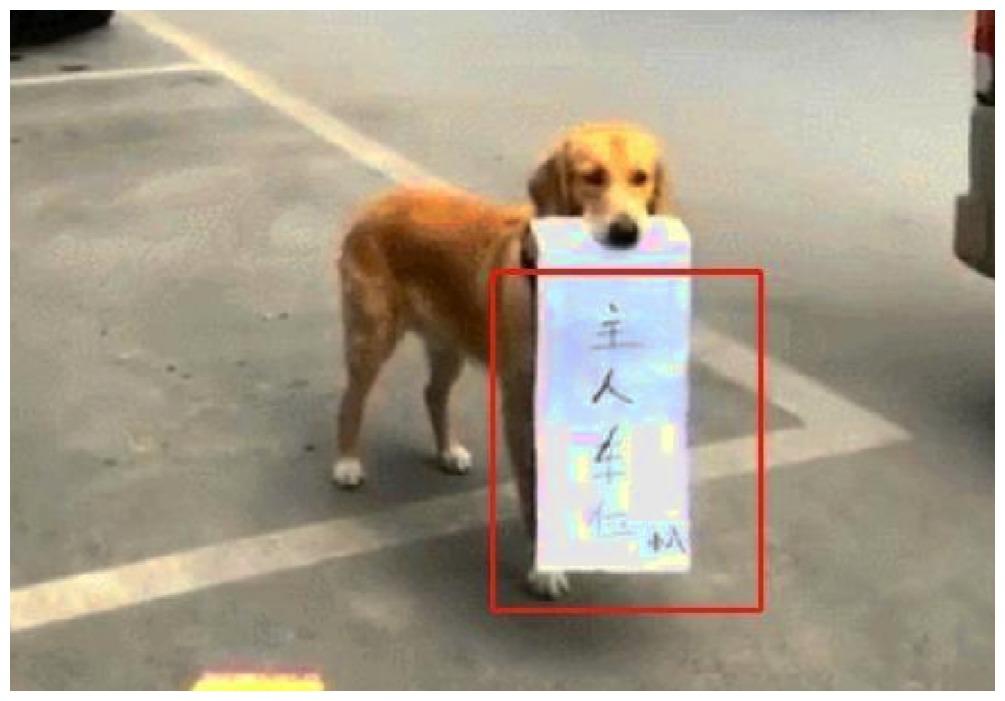 主人让狗狗霸占车位, 有人觉得可爱, 有人觉得太过莽撞!