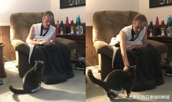 爸爸休克倒地, 冷淡猫疯狂呼唤全家起床救了爸爸一命!