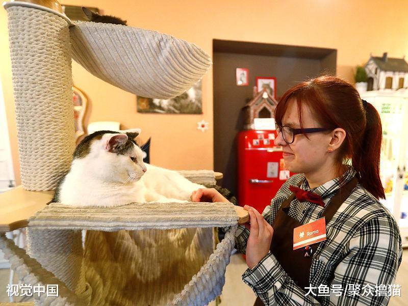 猫咪调皮玩绳子, 被主人解救后发现, 自己的猫咪居然创造了太阳