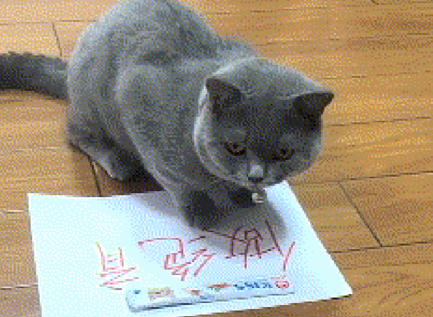 主人养猫本着“你喜欢就好”原则, 给猫咪做选择题, 这题陷阱很深