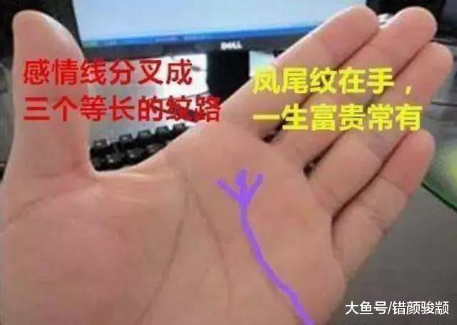 什么样的手相早晚会发大财, “手像干姜, 家道必昌”, 是你吗?