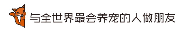 颜值即正义, 老狐狸终于测了这款网红猫包!