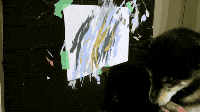 同样都是狗狗, 咱的汪星人会拆家, 别人的柴犬居然会作画!