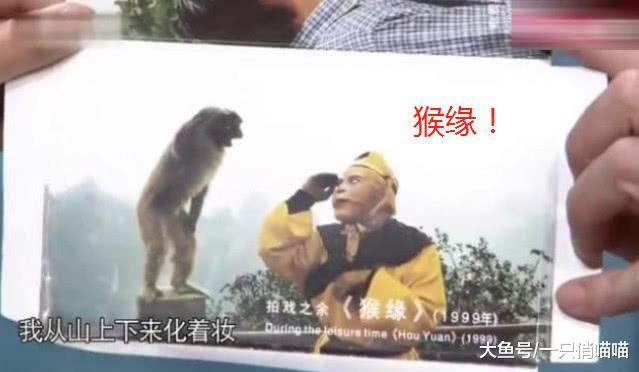 六小龄童谈“猴缘”: 比我拿什么奖还高兴! 网友一系列评论已笑疯