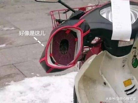 小哥送货离开时, 手伸进车把手套里碰到小玩意, 暖暖的