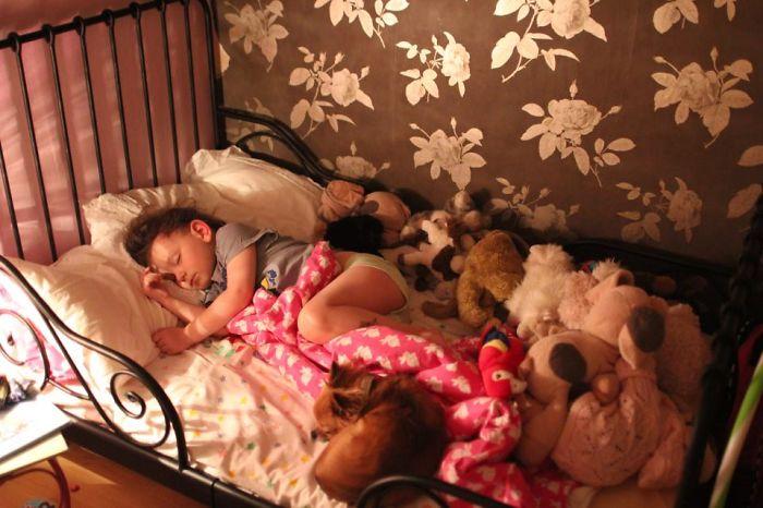 我的狗在她11岁生日时离开了, 这是她一生的故事, 再见我的伴侣!