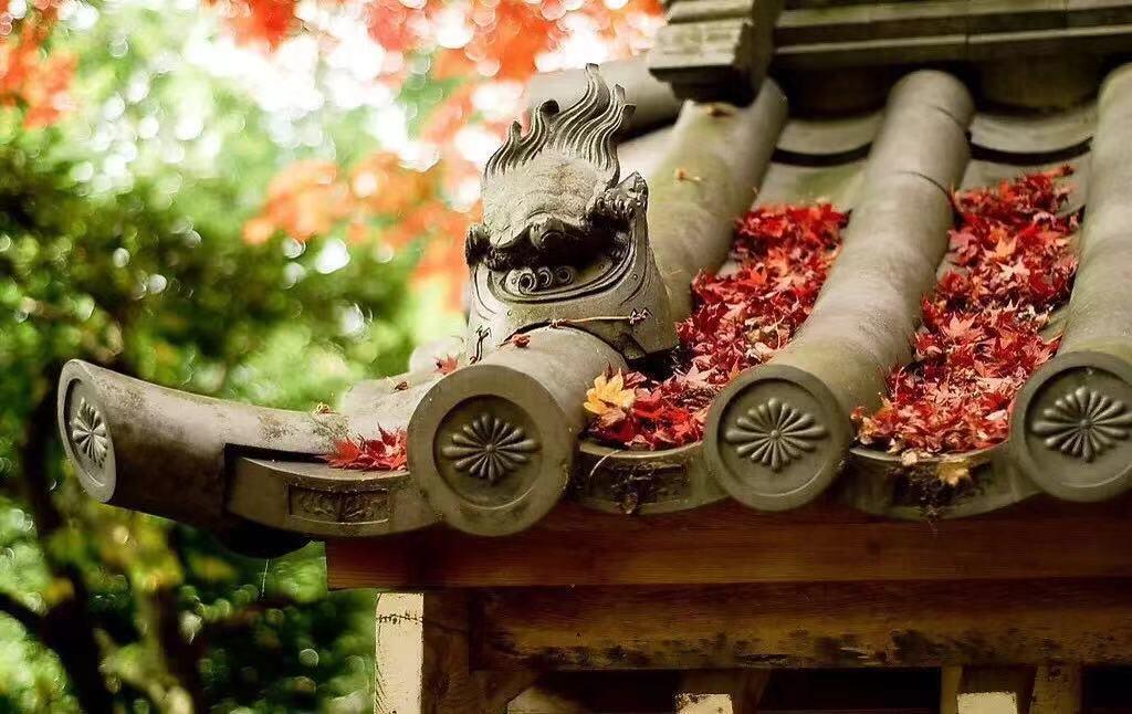 遇到她的那一瞬间, 是否让你特别希望拥有自己的房子? 看完扎心了