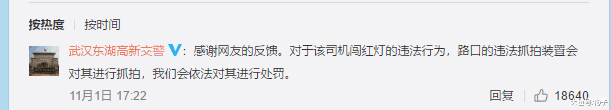 聪明小狗等绿灯过马路, 这时一辆车突然闯红灯, 结果令人心痛!