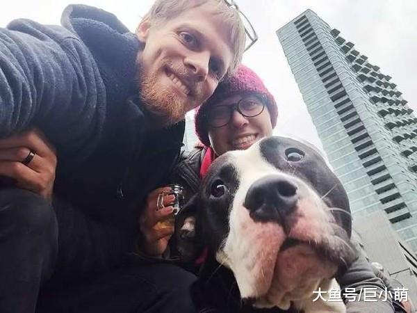 陪伴主人12年, 从恋爱结婚到生娃, 它却在不知道自己差点被安乐死