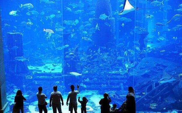 全球唯一一个十星级海底酒店, 外型酷似外星建筑, 和鲨鱼做邻居