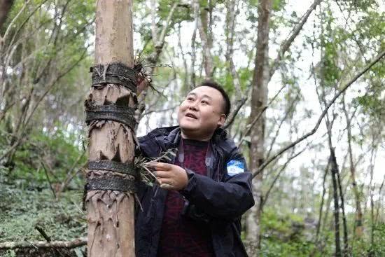 一个自称“原始人”的人, 常年在深山里面, 村民却称他带来好生活