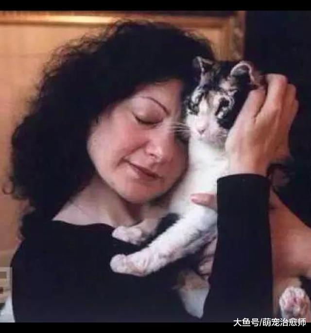 小猫在火场里被困, 猫妈不顾一切冲进去被烧成重伤, 伟大的母爱!