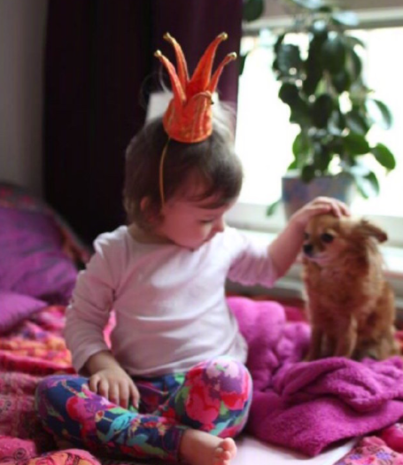 狗狗: 主人我走了, 你们晚安, 我不能再陪伴你了