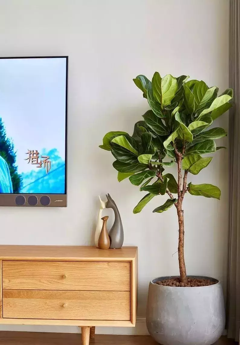 26万还不包电器, 这套北欧风房子刷新了我对装修的认知