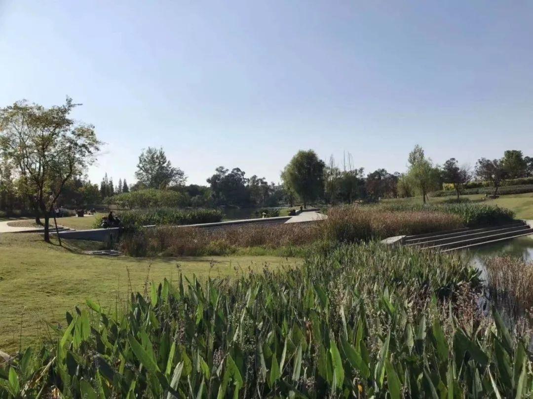 实踩|精装11800元/㎡起! 金牛区神盘热度可能超人居花照云庭