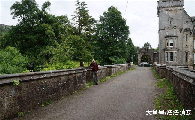 被称“狗狗的坟墓”的地方, 不要带狗狗前来, 大多会跳桥“自杀”