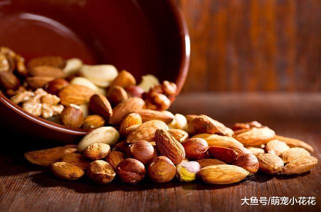 日常中的6种“美食”, 再好吃也不要给狗狗喂, 丢命你负责不起!