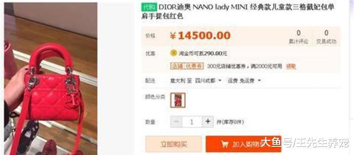 张杰晒双胞胎背影照, 小裙子的价格成亮点, 还是比不过李湘女儿!