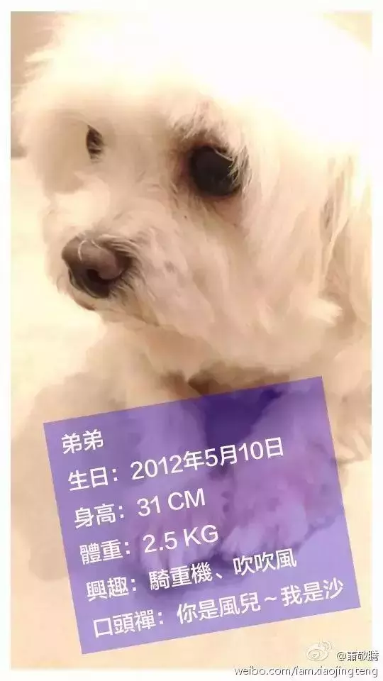 萧敬腾: 让领养代替买卖, 一点儿也不丢脸!