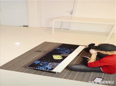 主人没有让哈士奇吃饭, 它就使坏尿到米饭里, 二哈: 让你还吃独食