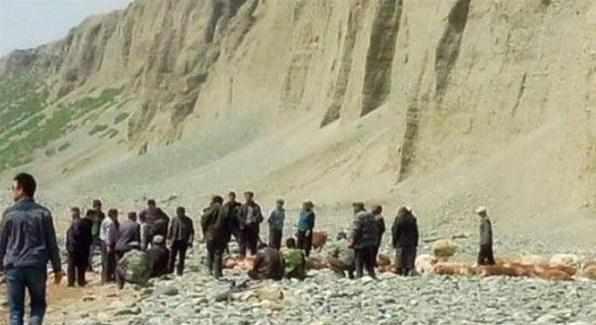 世界三大被自己“蠢死”的动物, 也是被“一蠢蠢一群”笑喷了