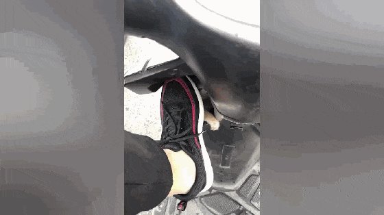 橘猫在马路上乱窜, 被好心人带回家, 猫: 快把鞋盖我身上, 冷…