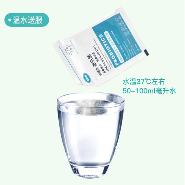 养狗小知识: 蛋黄对泰迪来说可是补品!