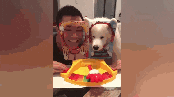 主人玩打脸机, 女主害怕输让萨摩代替, 狗: 我为这个家付出太多…